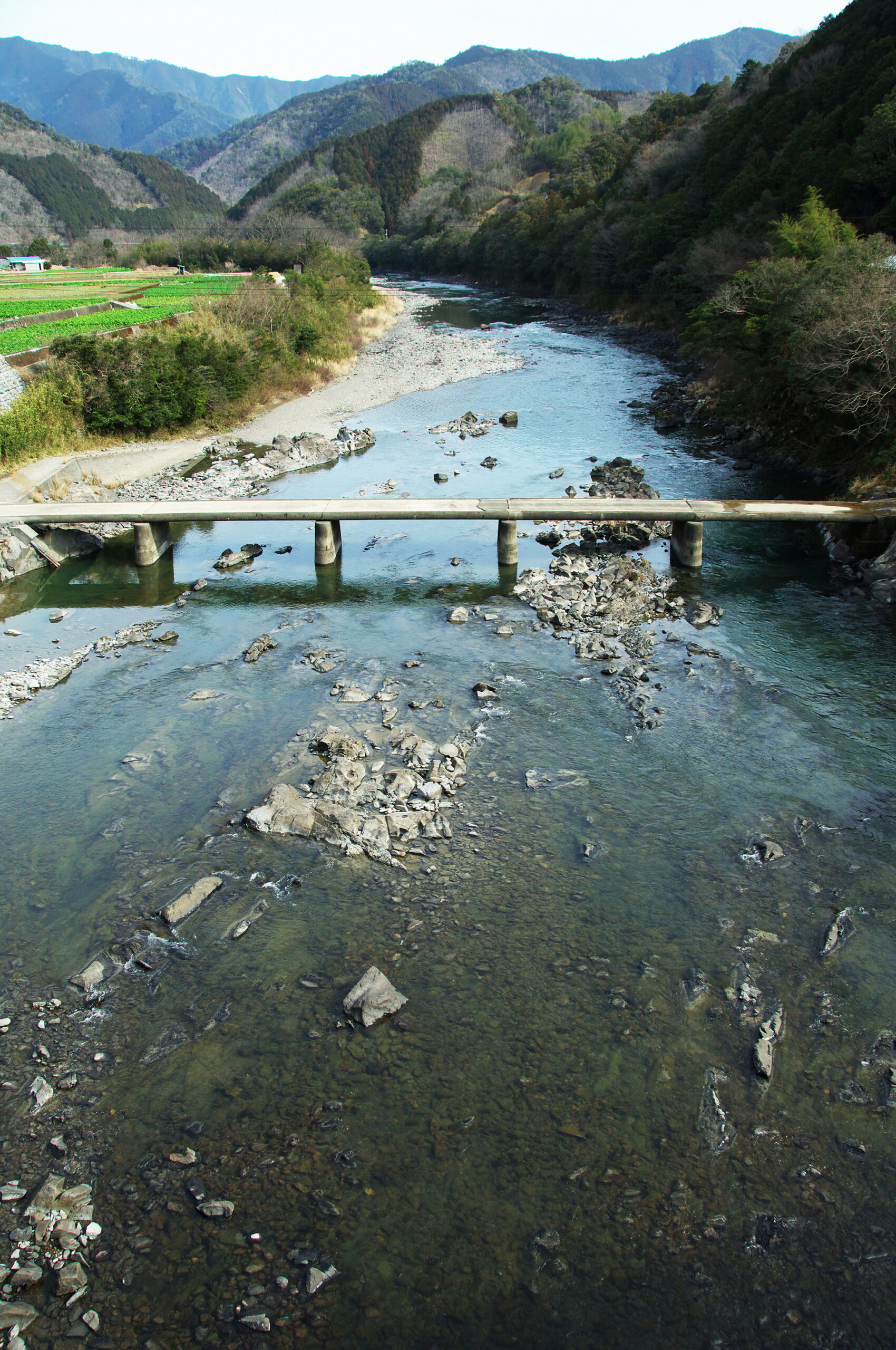 四万十川 三島キャンプ場の場内の写真